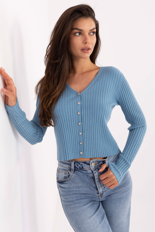 Gaiši zils džemperis