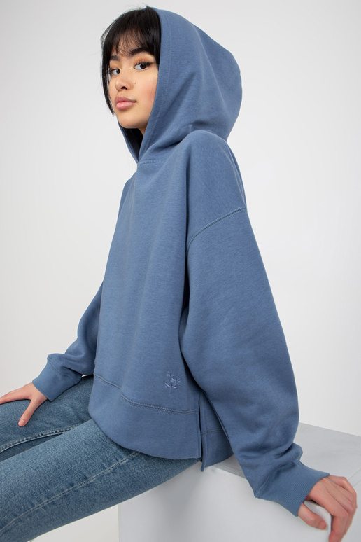 ZILS džemperis HOODIE GADU MAYFLIES