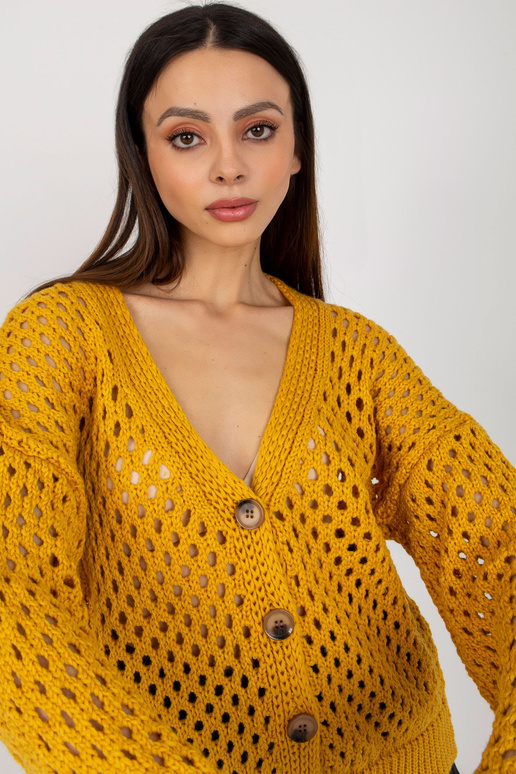 Džemperis-BA-SW-9009.26P-tumši dzeltens