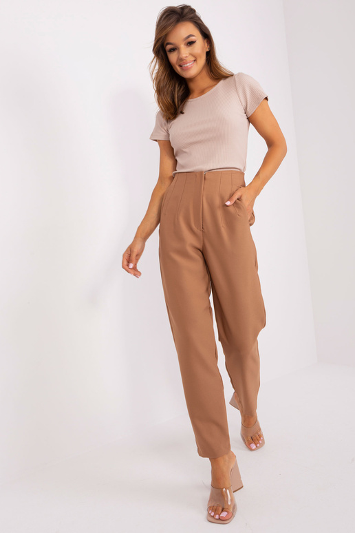 Bikses-TW-SP-OB067.41P-brūnas