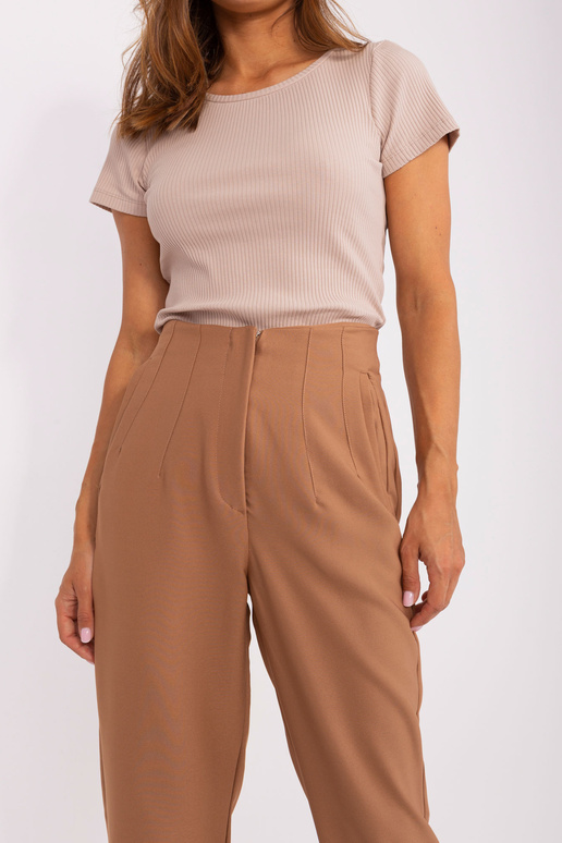 Bikses-TW-SP-OB067.41P-brūnas