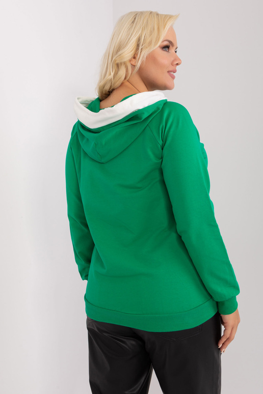 Džemperis-RV-BL-9087.77P-zaļš