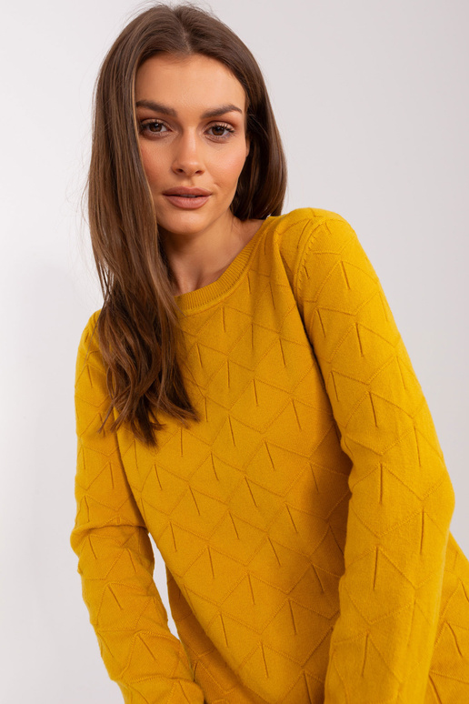 Džemperis-AT-SW-232901.25X-tumši...