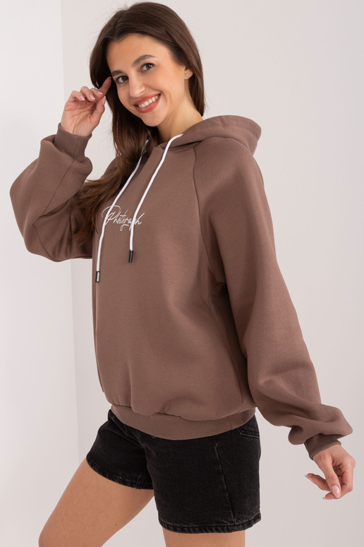 Džemperis-RV-BL-8371.30-brūns