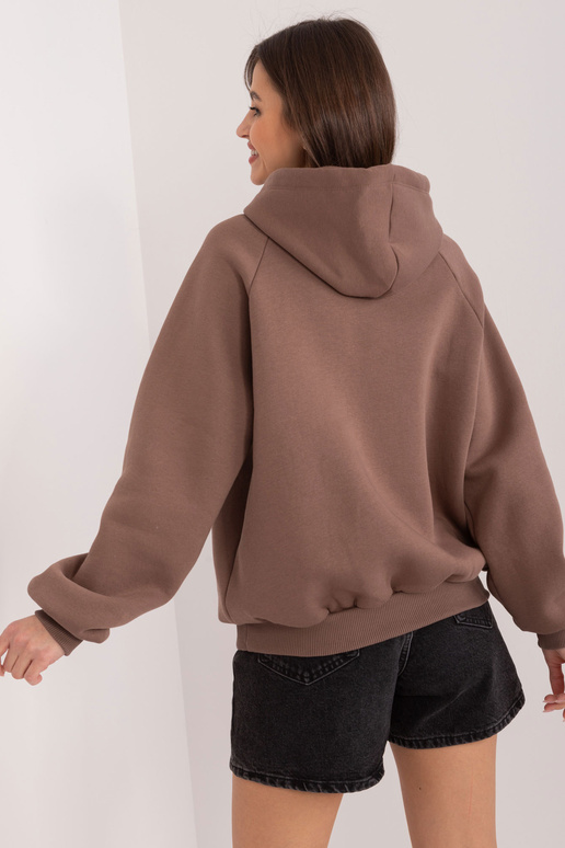 Džemperis-RV-BL-8371.30-brūns