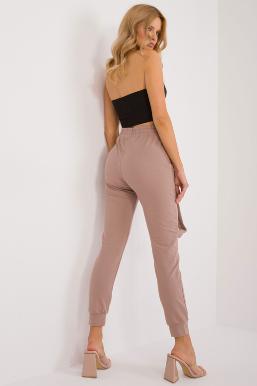 Sporta bikses-RV-DR-9629.82-tumši bēšs