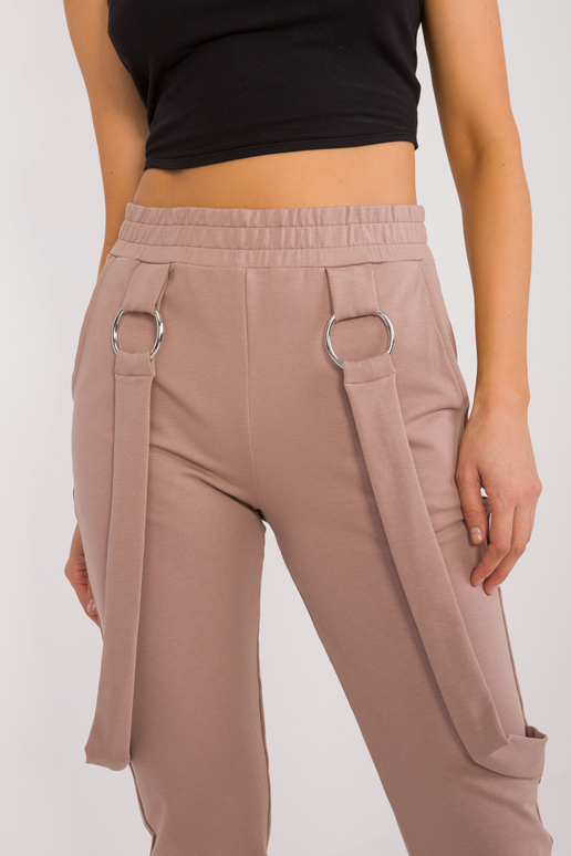 Sporta bikses-RV-DR-9629.82-tumši bēšs