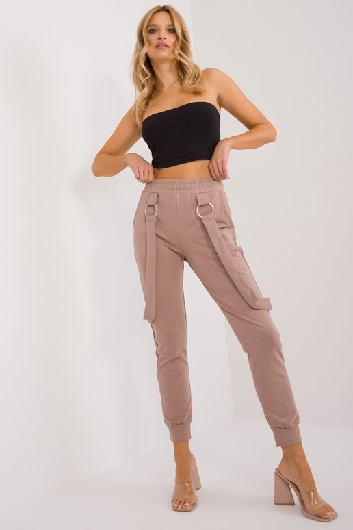 Sporta bikses-RV-DR-9629.82-tumši bēšs