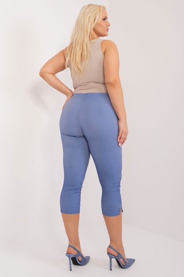 Bikses-AT-SP-1863.25-zilas