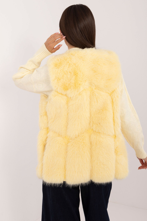 Veste-AT-KZ-2375.00P-dzeltens