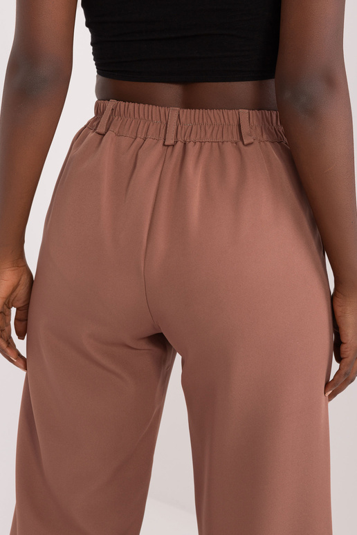 Bikses-LK-SP-509579.22-brūnas