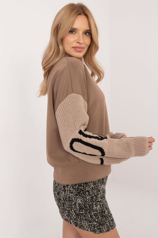 Džemperis-MI-BL-M5975.26P-tumši bēšs