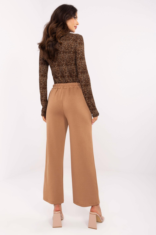 Bikses-DHJ-SP-20356.49-kamieļa