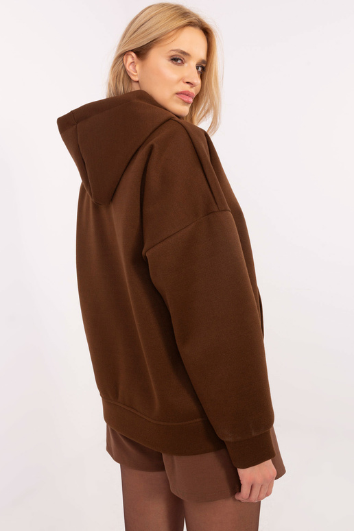 Džemperis-DHJ-BL-A8695.65P-brūns