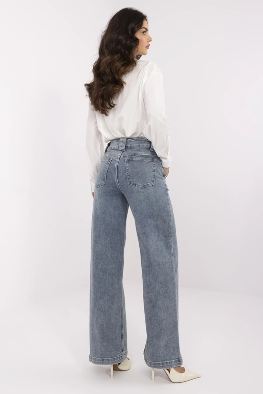 Džinsu bikses-NM-SP-T360.66P-zilas