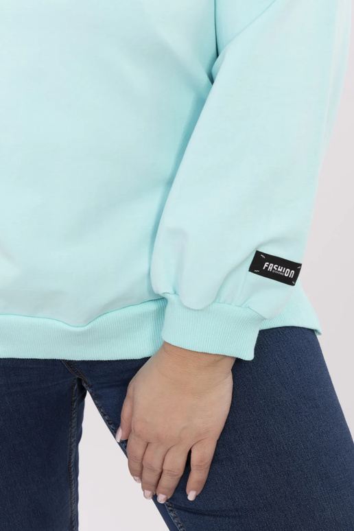 Džemperis-RV-BZ-A599.82-mint