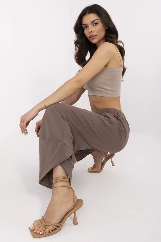 Sporta bikses-RV-DR-9719.86-brūnas