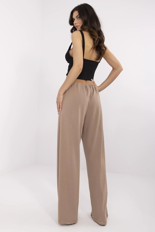 Sporta bikses-RV-DR-A591.18-tumši bēšs