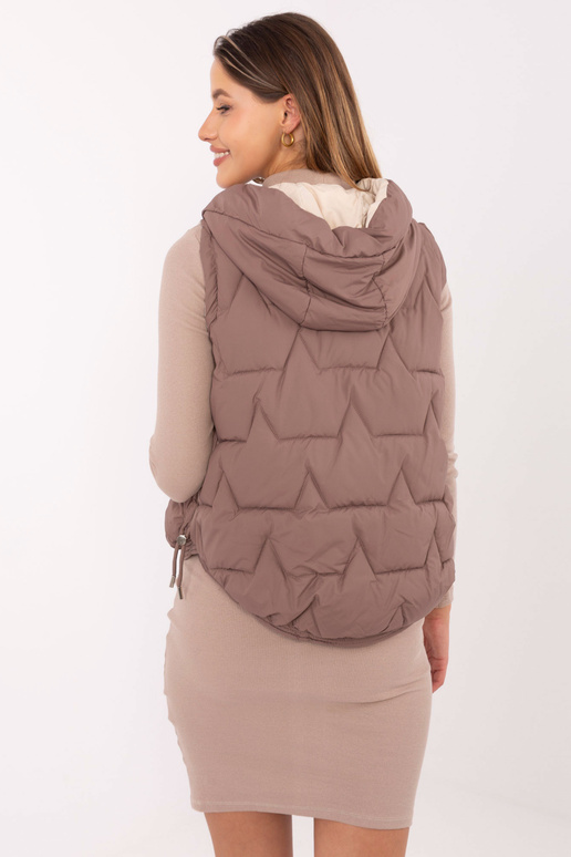 Vestes brūnā