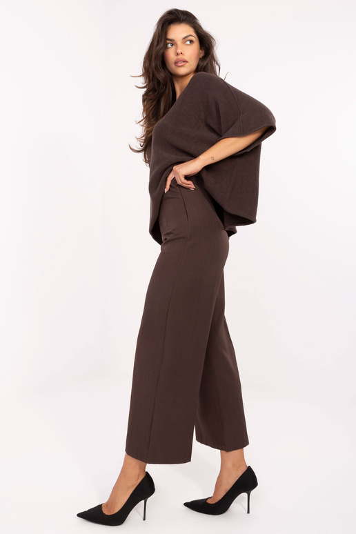 Bikses tumši brūnas