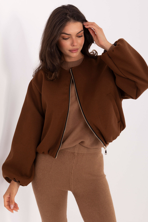 Brūna jaka