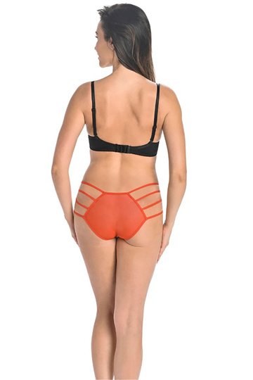  Biksītes 183371 Teyli  2