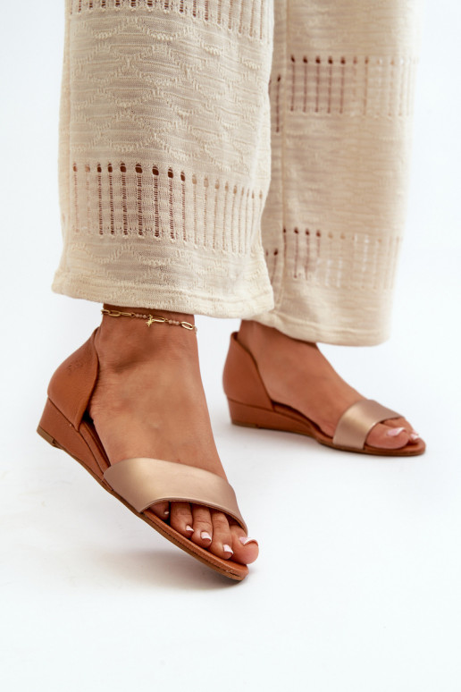 Sieviešu basenes   1971-68 brūnas krāsas-Zelta krāsas Sieviešu basenes   1971-68 brūnas krāsas-Zelta krāsas