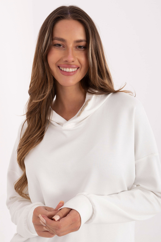 Blūze RV zila ekrū