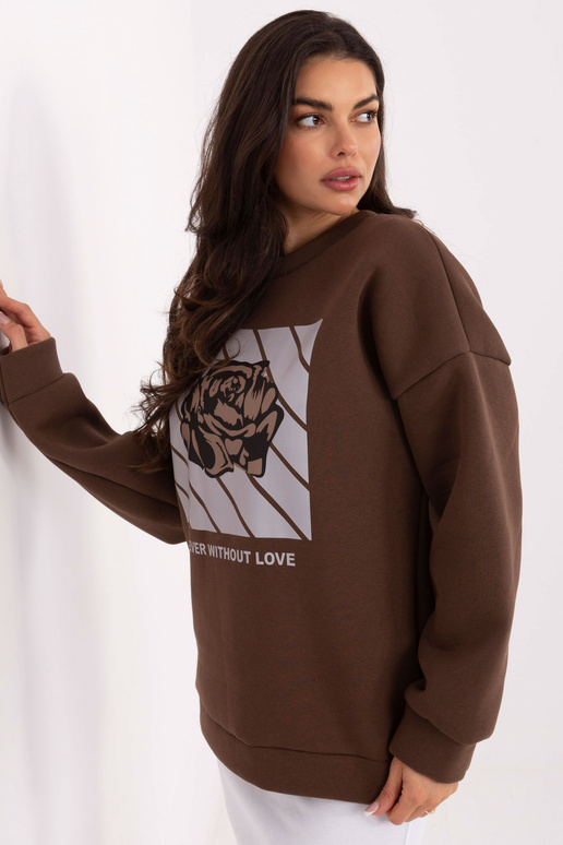 Brūna džempera ar kapuci