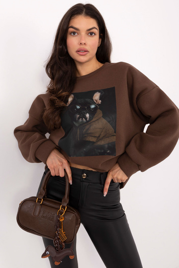 Džemperis brūnā krāsā 2