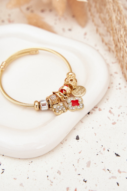 Aproce z Zawieszkami Charms Zelta krāsas