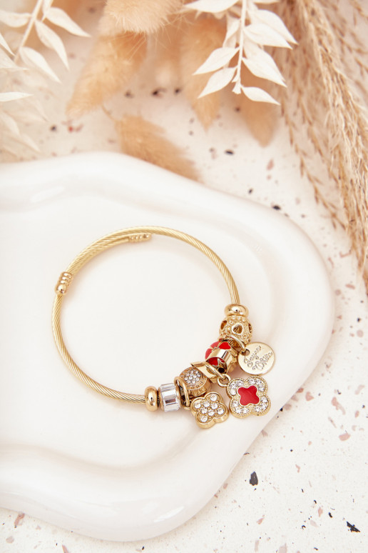 Aproce z Zawieszkami Charms Zelta krāsas