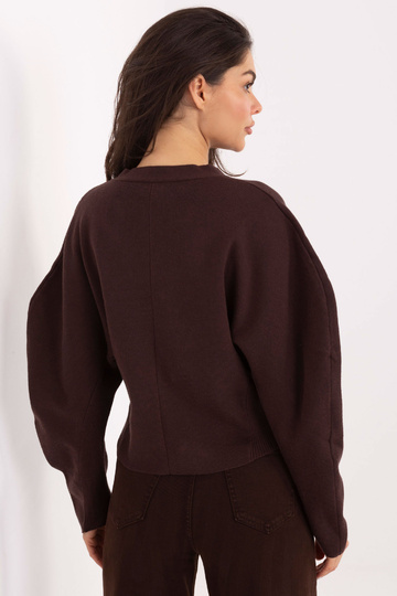 Tumši brūns džemperis 2