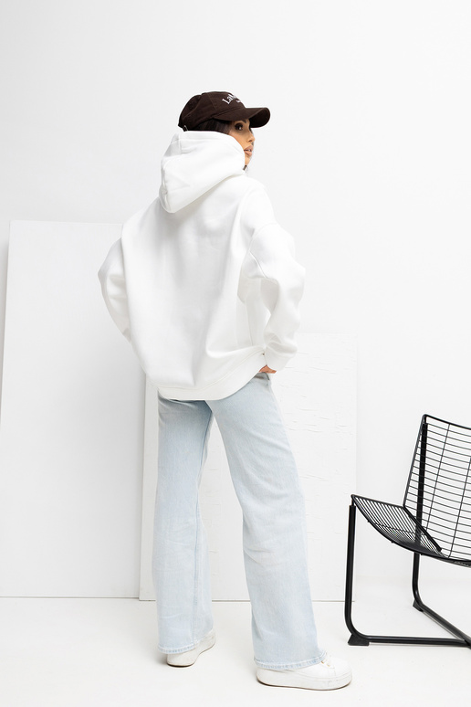 Ekrāna krāsas blūzons RV