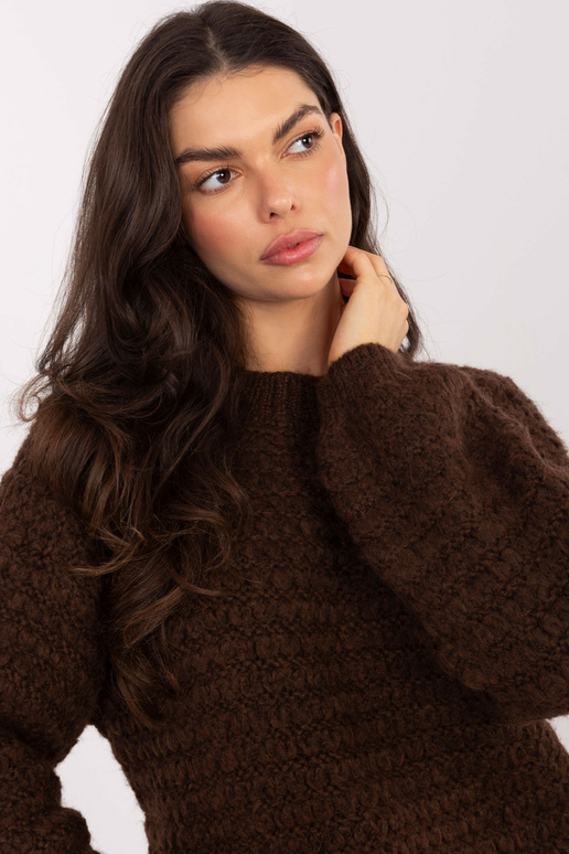 Brūns džemperis MI SW