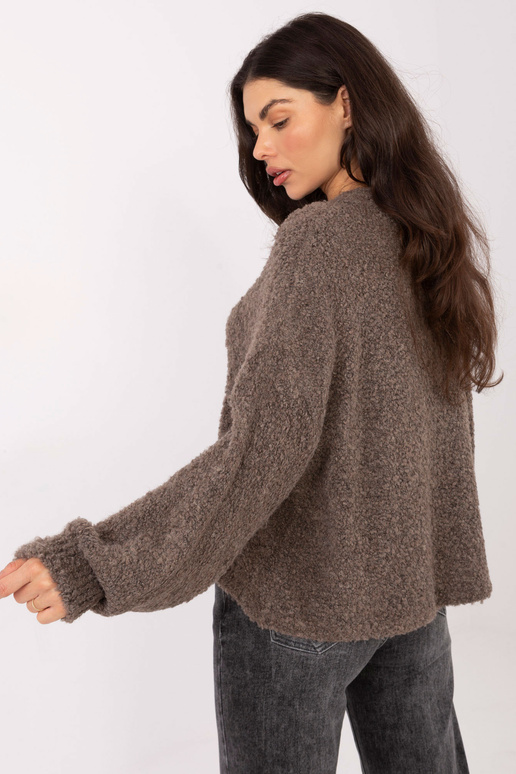 Tumši smilškrāsas džemperis