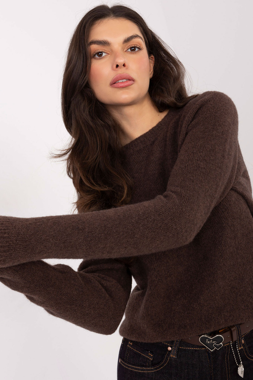 Džemperis brūns