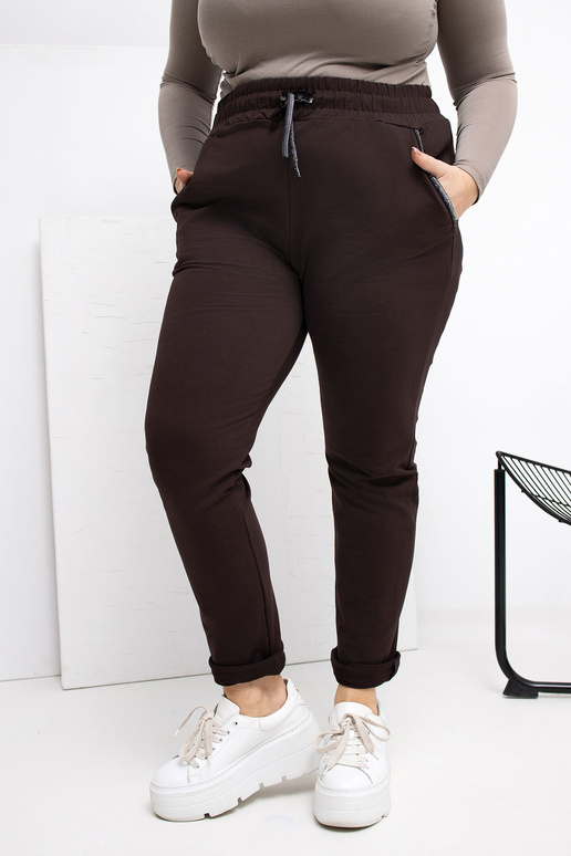 Sporta bikses tumši brūnas