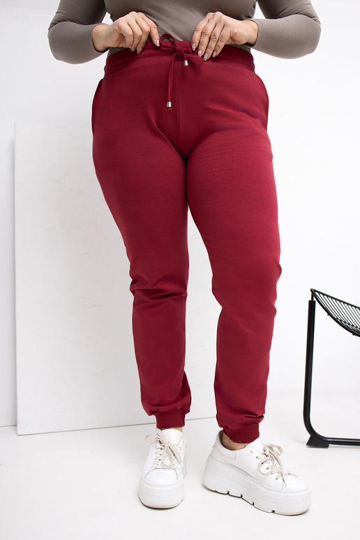 Sporta bikses bordo