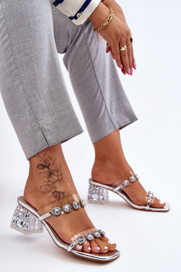  Čības  Sudraba krāsas Leyla 2