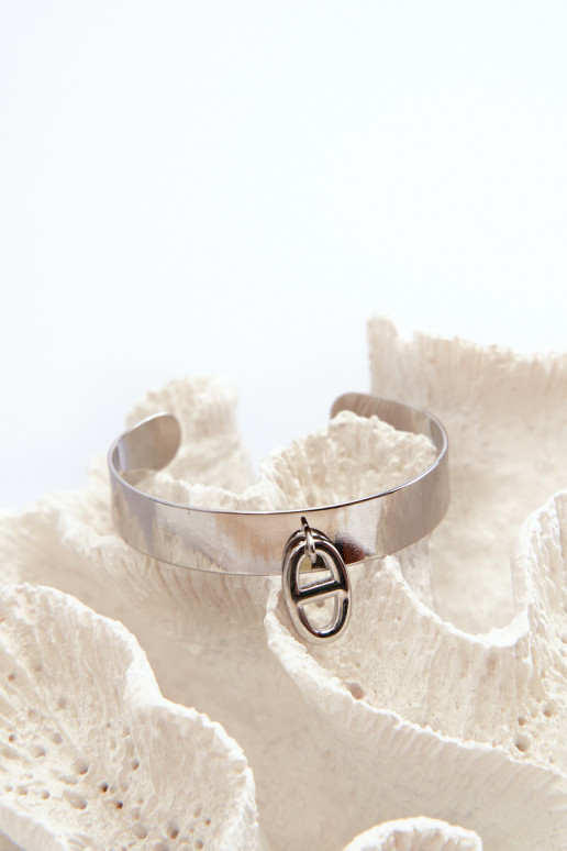 Aproce ar ornamentiem Stal Nierdzewna Sudraba krāsas