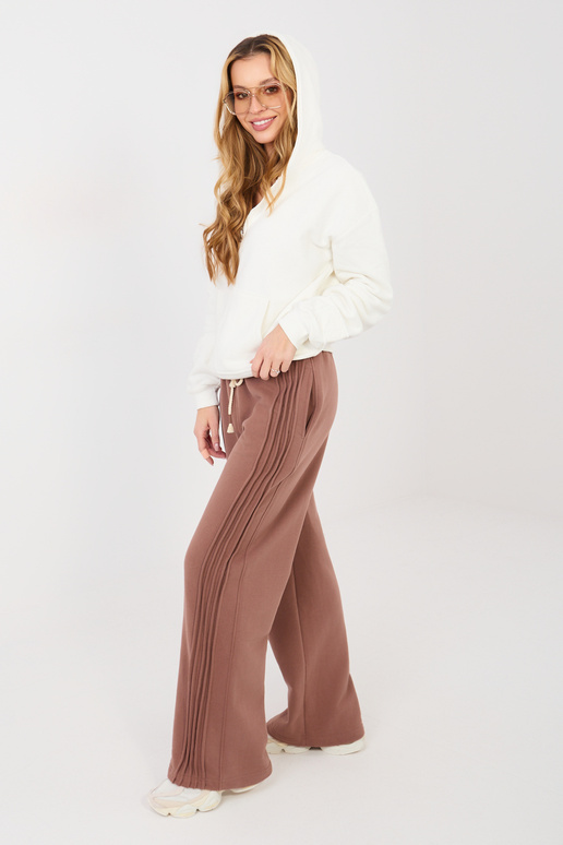 Sporta bikses brūnas