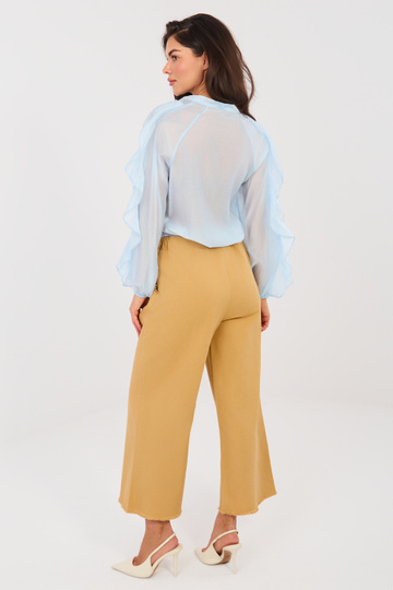 Kamieļa krāsas IT SP bikses