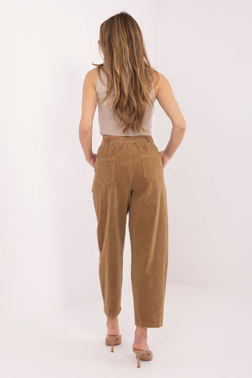 Bikses IT SP kupranugāra krāsā