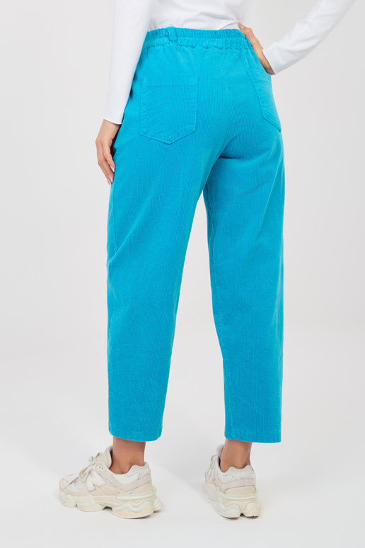 Bikses IT SP FL zila