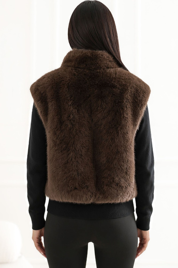 Brūna veste