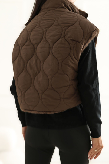 Brūna veste 2