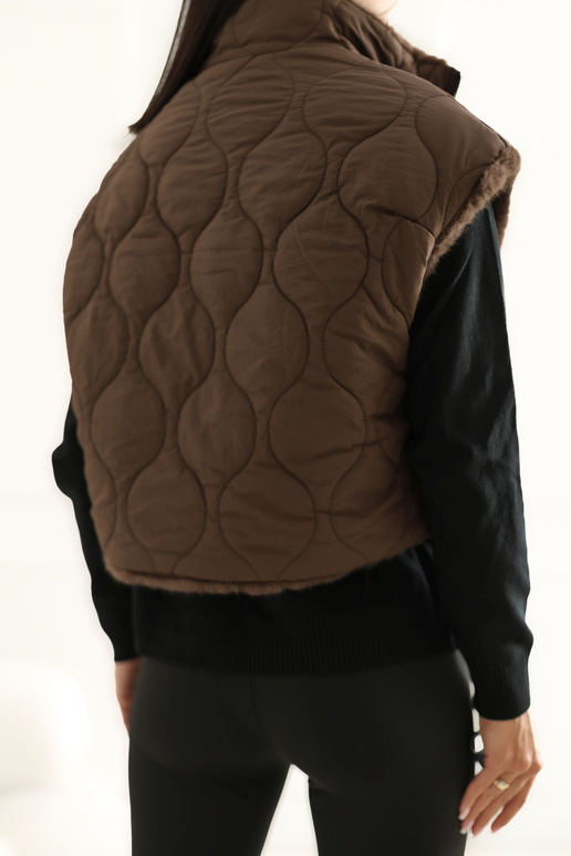 Brūna veste