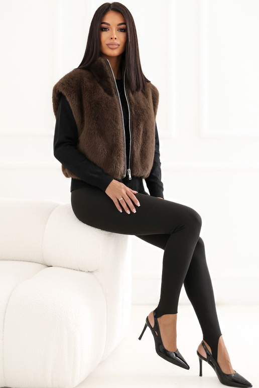 Brūna veste