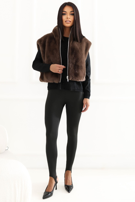 Brūna veste